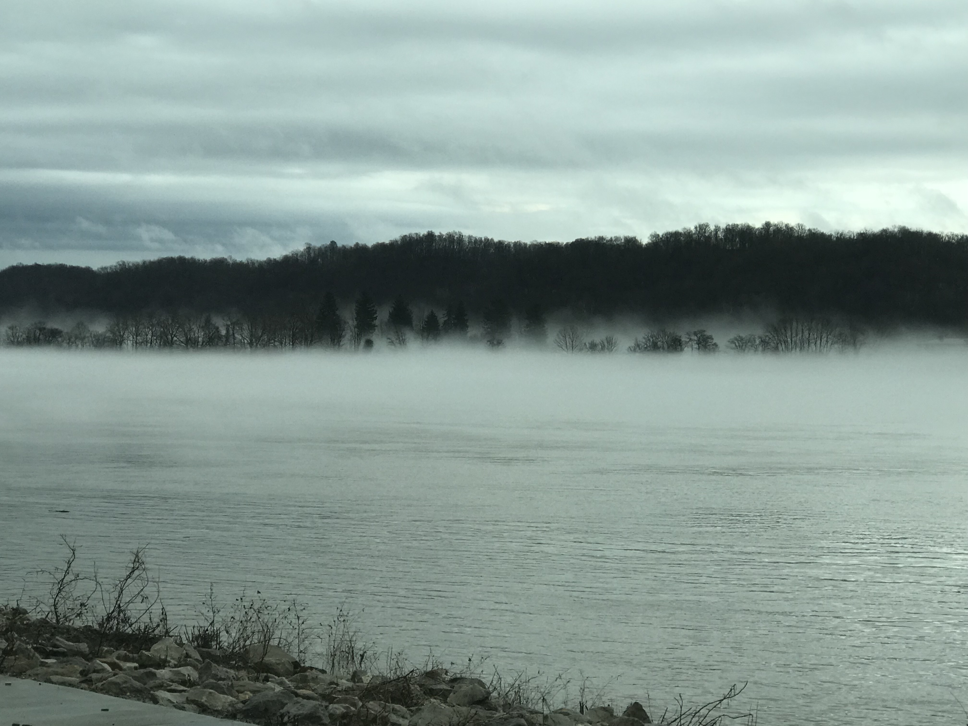 479BB9C5-9422-4560-A7B4-C43318A91361